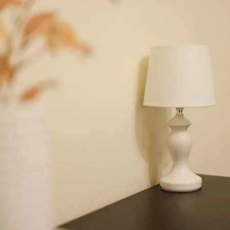 Chic In Historical Center شقة تيميشورا