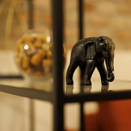 Chic In Historical Center شقة تيميشورا