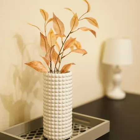 Chic In Historical Center * تيميشورا