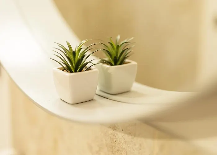 Chic In Historical Center Timişoara