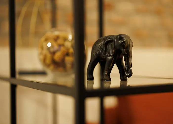 Chic In Historical Center Apartment Timişoara