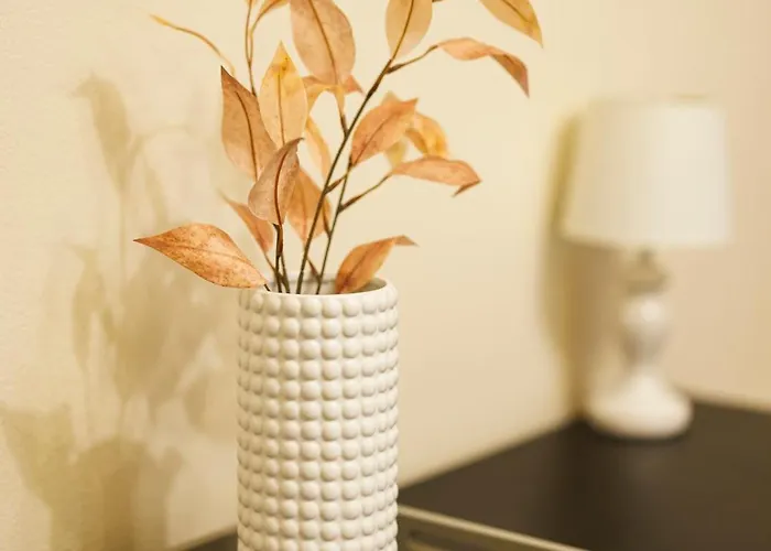 Chic In Historical Center * Timişoara