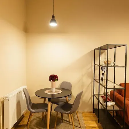 Apartment Chic In Historical Center