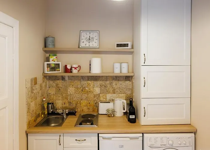 Chic In Historical Center Appartement Timişoara